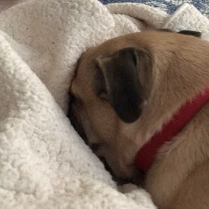 Meet your Posher, Debra